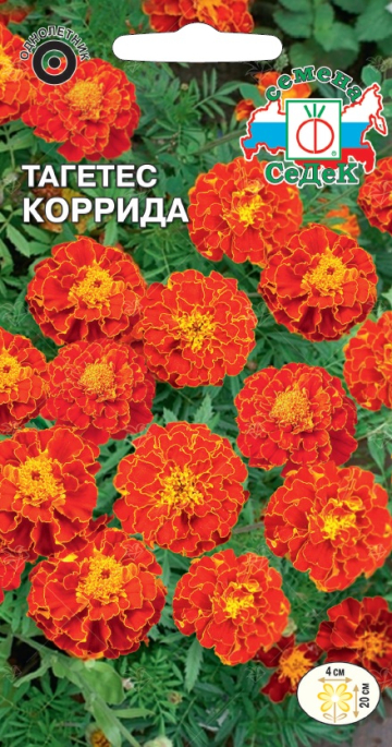 Тагетес Коррида