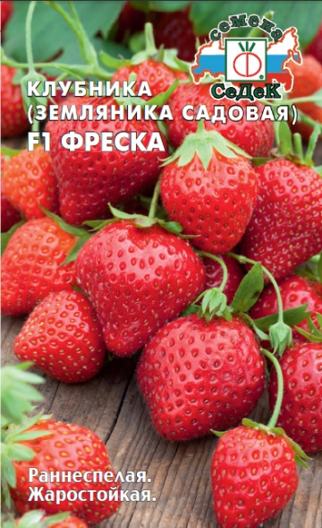 Клубника Фреска F1 (земляника садовая)