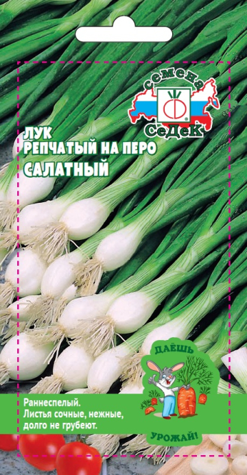 Лук репчатый на перо Салатный
