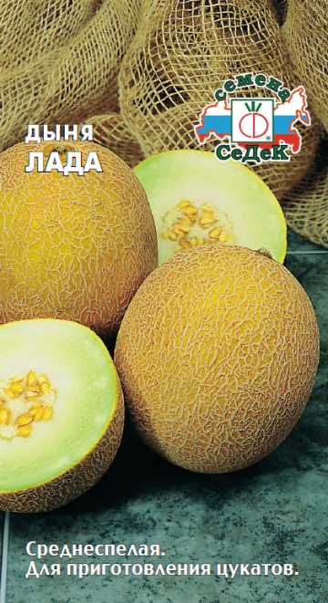 Дыня Лада