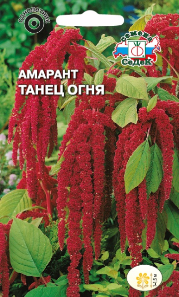 Амарант хвостатый Танец огня