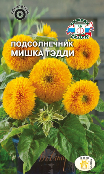 Подсолнечник Мишка Тэдди