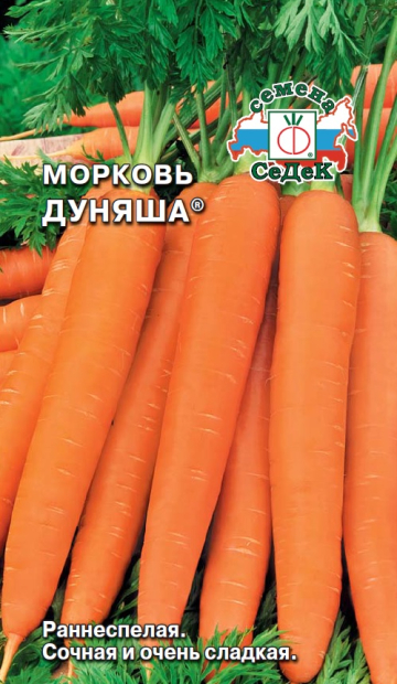 Морковь Дуняша