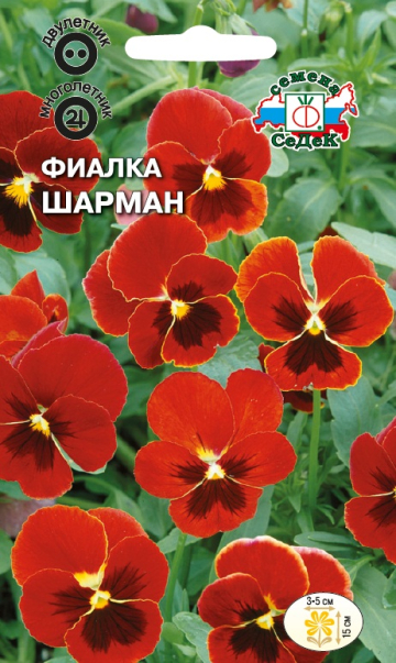 Фиалка Шарман
