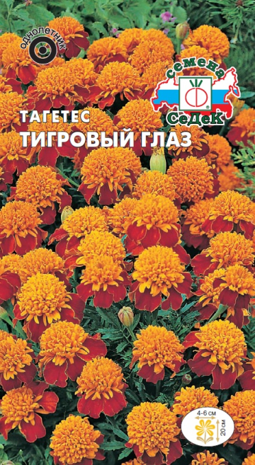 Тагетес Тигровый глаз
