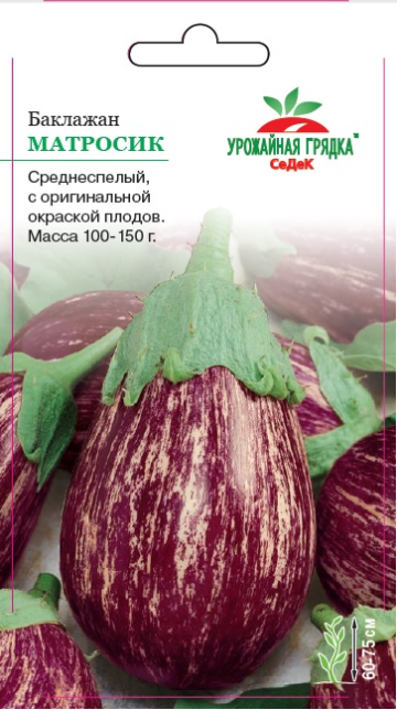 Баклажан Матросик