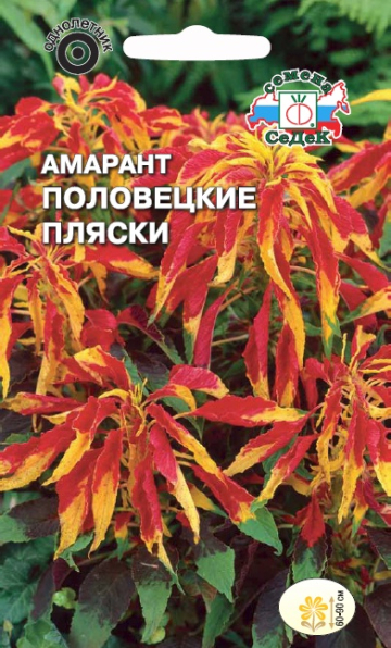 Амарант Половецкие пляски