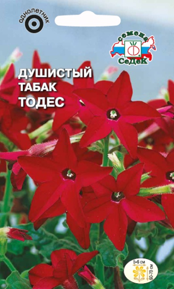 Душистый Табак Тодес