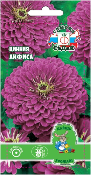 Цинния георгиновидная Анфиса