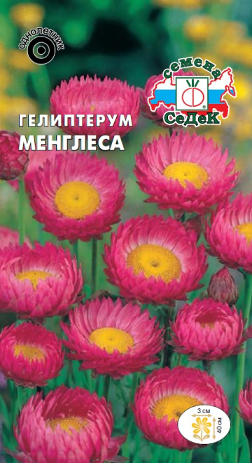 Гелиптерум Менглеса