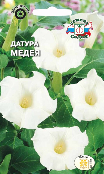 Датура Медея