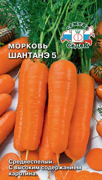 Морковь Шантанэ 5