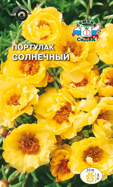 Портулак Солнечный